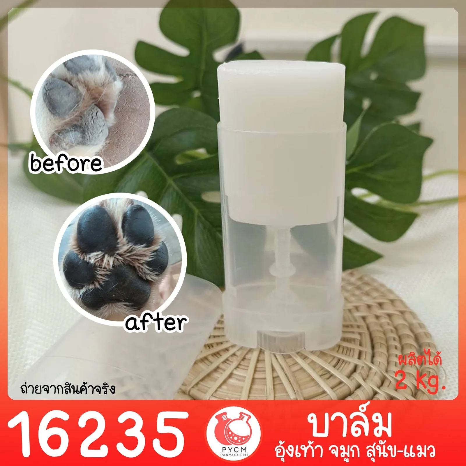 16235 ชุดทำ บาล์มทาอุ้งเท้า และจมูกสัตว์ สุนัข แมว สามารถผลิตได้ 2 กก.
