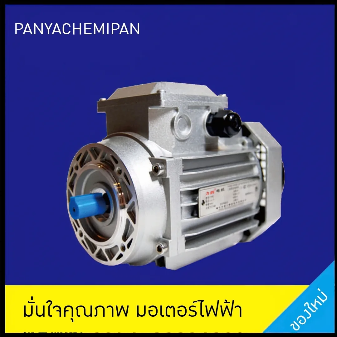 electric motor มอเตอร์ไฟฟ้า แบรนด์คุณภาพ LIDE