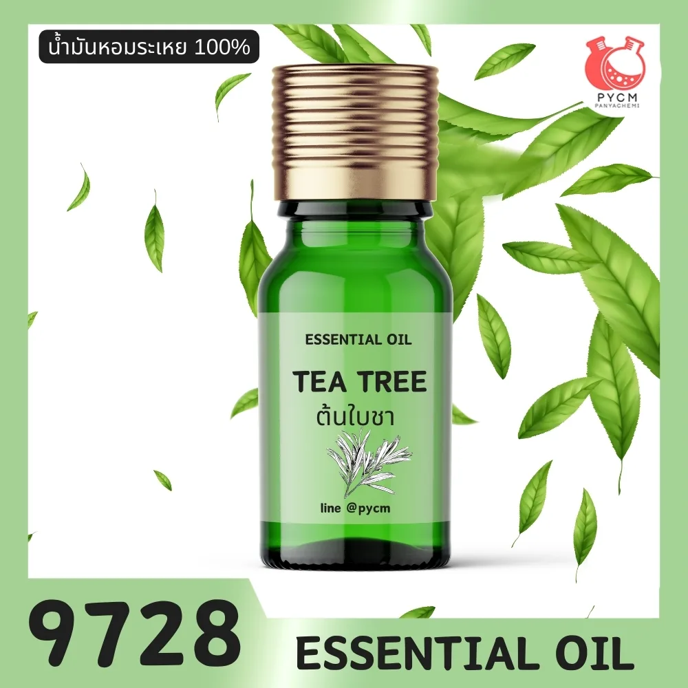 9728 น้ำมันหอมระเหย กลิ่น ต้นใบชา ทีทรีออยล์ TEA TREE ESSENTIAL OIL MELALEUCA ALTERNIFOLIA LEAF OIL