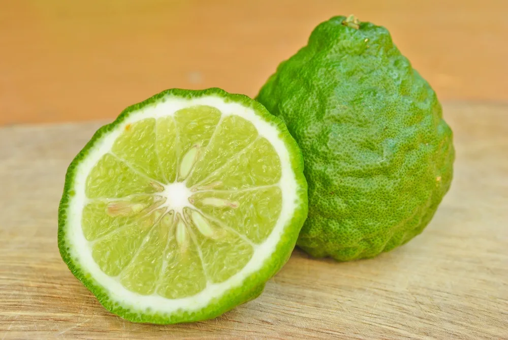 ✨ 9431 Kaffir Lime Powder : ผงสมุนไพร ผิวมะกรูด