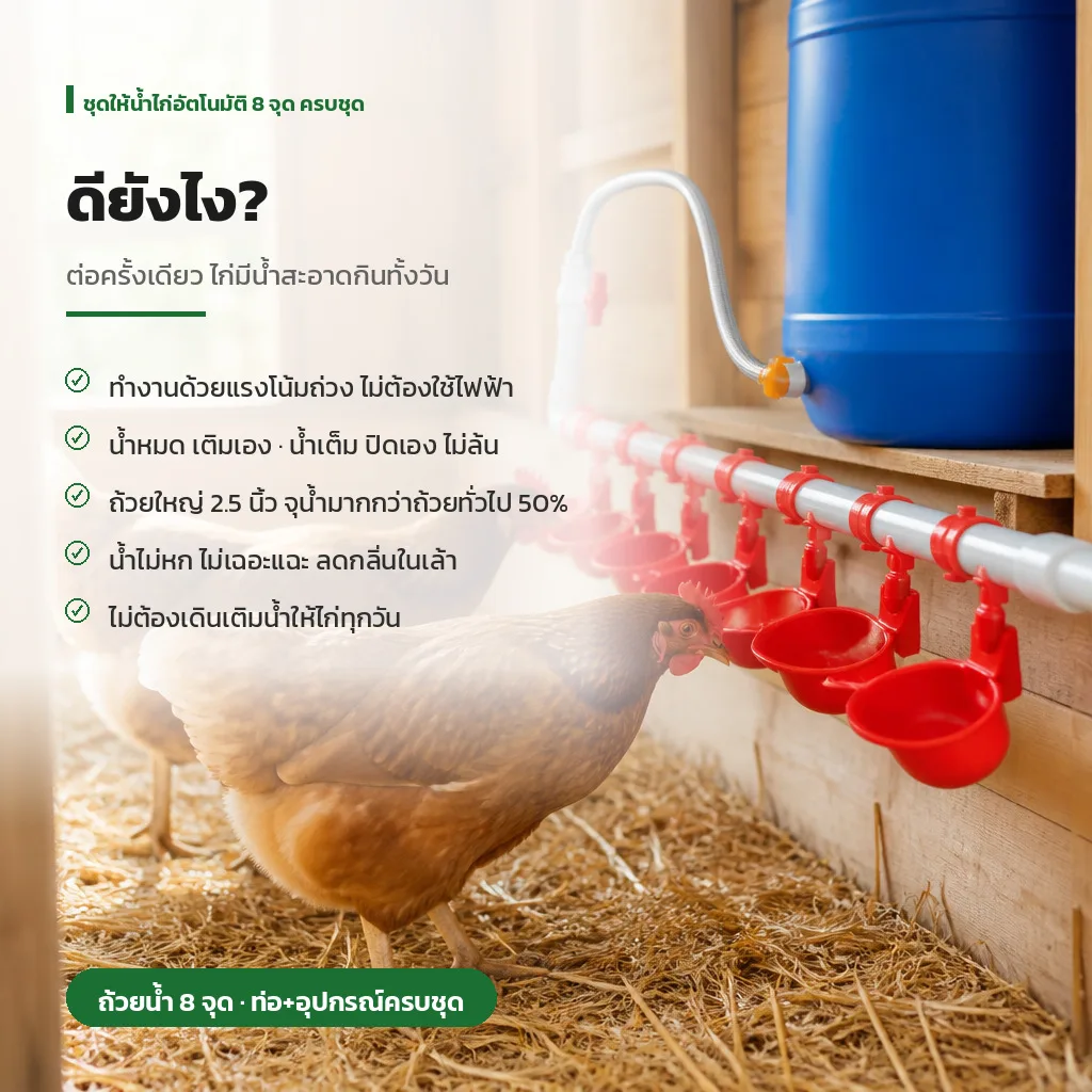 32439 ชุดให้น้ำไก่อัตโนมัติ 8 จุด ครบชุด รุ่น CWS-8